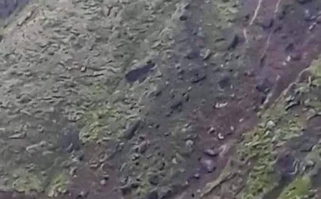 عاجل :وسط انقطاع تام لحركة السير..إنزلاقات صخرية في نقيل سمارة (صورة مرعبة)