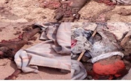 العبث بمقذوف يتسبب في انفجار في مخيم للنازحين في محافظة لحج..