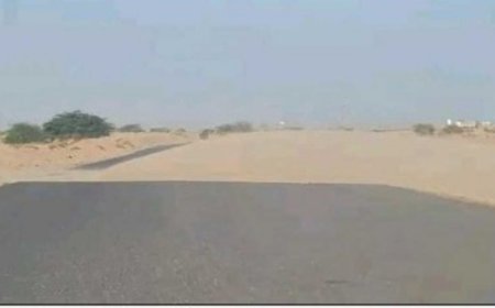 تكدس السيارات في خط الساحل الدولي بسبب الرمال المتحركة...