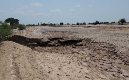 السيول تجرف اراضي واسعة في ريف حيس بالحديدة..