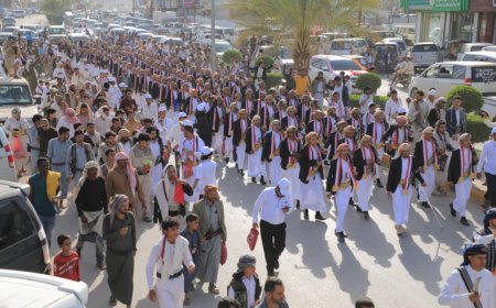 مأرب تحتفل بزفاف 280 عريساً وعروساً من أبناء ذمار في أجواء فرائحية مميزة..