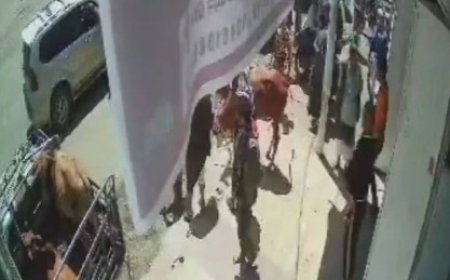 مسلحون حوثيون يهددون بإغلاق محل بائع لحم في إب بقوة السلاح لعدم وضعه زينة المولد..