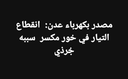 كهرباء عدن: فأر يتسبب بخروج خدمة الكهرباء عن خورمكسر