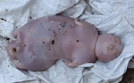 عاجل: في حالة ولادة نادرة..شاه تلد مولوداً على شكل طفل بشري(صور)