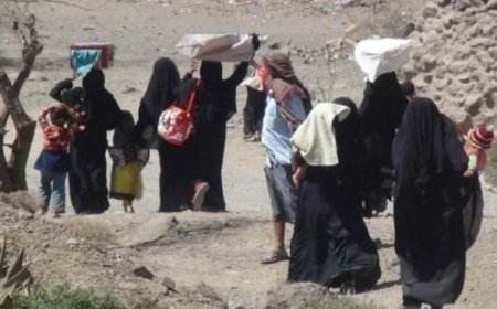 الهجرة الدولية: نزوح 86 أسرة يمنية خلال الأسبوع الماضي...