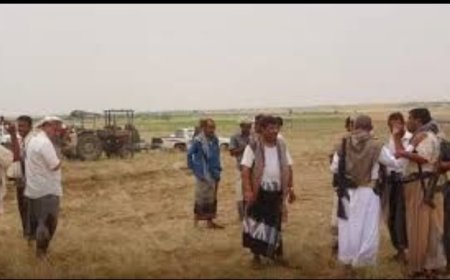 مشرف حوثي يستولي على أراضي أبناء تهامة في بيت الفقيه...