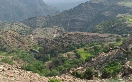 الدفاعات الجوية الجنوبية تسقط طائرة درون استطلاعية حوثية بجبهة المسيمير الحدودية..