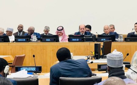 الزنداني يعبر عن إدانة المجموعة العربية ارتكاب الاحتلال الإسرائيلي جرائم الإبادة الجماعية في فلسطين 