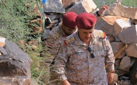 اللواء العابسي والوفد المرافق له يزورون  المواقع الأمامية لجبهات غرب تعز..