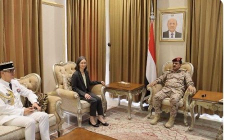 وزير الدفاع وسفيرتي بريطانيا وفرنسا يبحثون تعزيز التعاون الامني والعسكري..