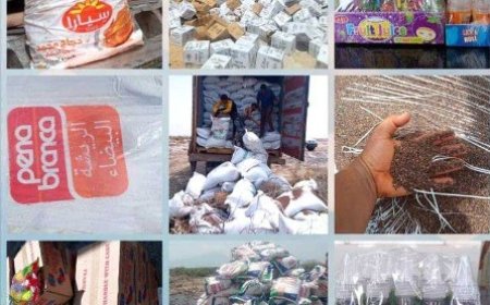 رفض وإتلاف كميات كبيرة من الدجاج المجمد الفاسد ومنتجات اخرى مخالفة بعدن والمهرة..