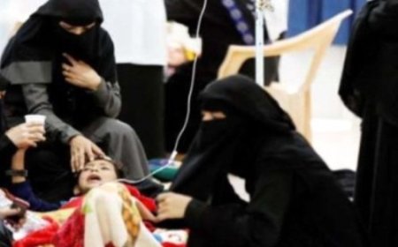 إصابة 6 آلاف مواطن بمرض حمى الضنك في المحافظات المحررة..
