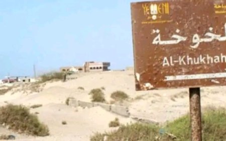 منذ أكثر من عامين في سجن أبو موسى في الخوخة واسرهم لايعرفون مصير ابنائهم ..