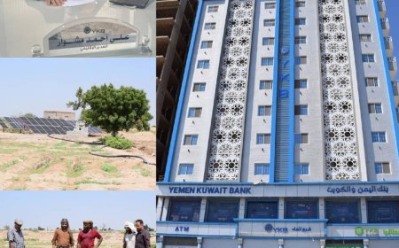 بنك اليمن والكويت يعزز تمويلات القطاع الزراعي لدعم المزارعين