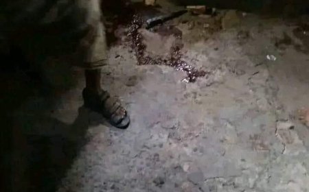 عاجل: شاب يقتل والده في تعز