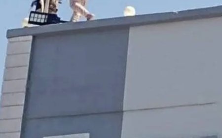 اللجنة التحضيرية لاحتفالية 14 أكتوبر بلحج تصدر بيانا هاما بشأن رفع علم الجنوب بمبنى المحافظة..