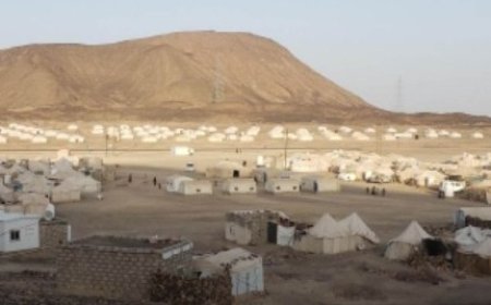 الوحدة التنفيذية ترصد خلال سبتمبر نزوح 700 شخص إلى مأرب...