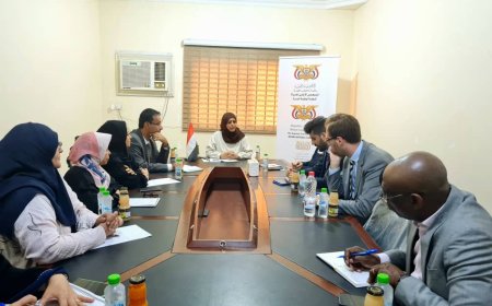 رئيسة اللجنة الوطنية للمرأة تلتقي بنائبة رئيس البعثة الأممية "اونمها" لمناقشة معاناة النساء في الحديدة..