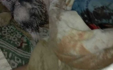 حادث مروري مروع يؤدي إلى وفاة (11) شخص في المهرة ...