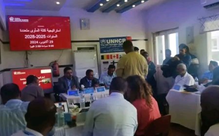 البورجي والمشرعي في ورشة عمل لمناقشة إستراتيجية متعددة السنوات لإيواء النازحين في اليمن..