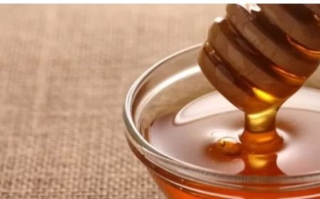 استعدادات لإقامة المعرض الوطني الأول للعسل في العاصمة عدن..