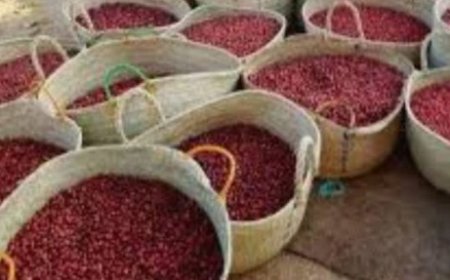 بذريعة أنه منتج خارجي مليشيا الحوثي تحتجز البن اليمني..