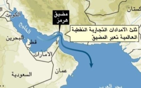 الميليشيات الحوثية تحولت في البحر الأحمر إلى قوة تتصرف بأسلوب البلاطجة والمبتزين ...