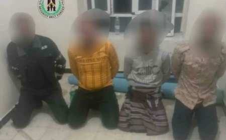 حزام الضالع  الأمني بالضالع يلقي القبض على شبكة متخصصة في سرقة الدراجات النارية.. 