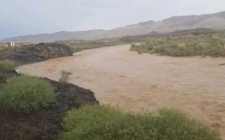 وفاة ستة أشخاص من أسرة واحدة غرقاً في وادي مور شمال الحديدة..