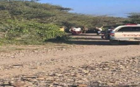 مواطنون في تعز يعثرون على جثة شاب مقتولا..