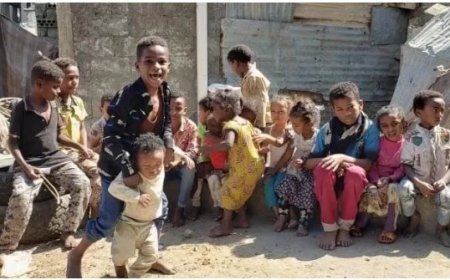 3.5 مليون يمني من دون مستندات هوية وطنية...