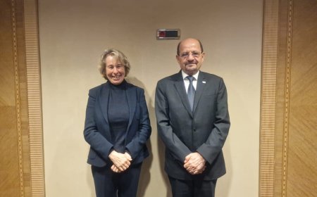 وزير الخارجية يستعرض مع مجلس الشيوخ الإيطالي تطورات الأزمة اليمنية والاعتداءات الحوثية