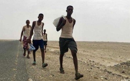 الأجهزة الامنية في محافظة شبوة تلقي القبض على 144 مهاجراً أفريقياً قبالة سواحل رضوم..