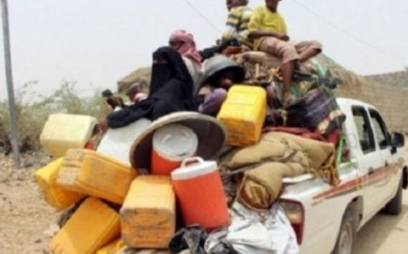 منظمة الهجرة الدولية تعلن عن نزوح 59 أسرة يمنية خلال الأسبوع الماضي من نوفمبر الجاري..