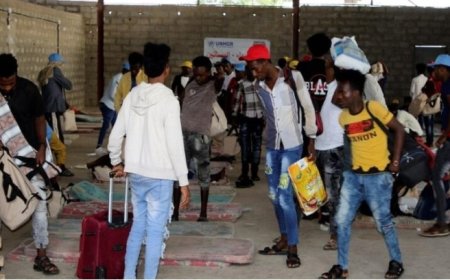 منظمة ترصد عودة أكثر من 11 ألف مهاجر إثيوبي من اليمن..
