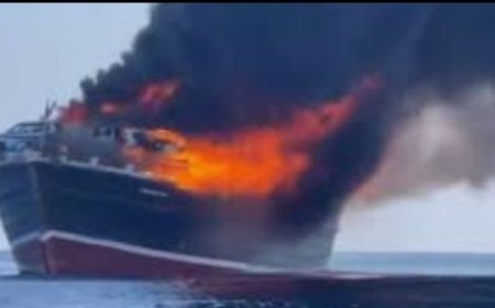 69 حادثة ضد سفن الشحن في البحر الأحمر وخليج عدن خلال عام...
