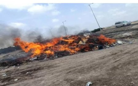 جمرك المنطقة الحرة في العاصمة عدن يضبط أجهزة مراقبة وأدوية مهربة..