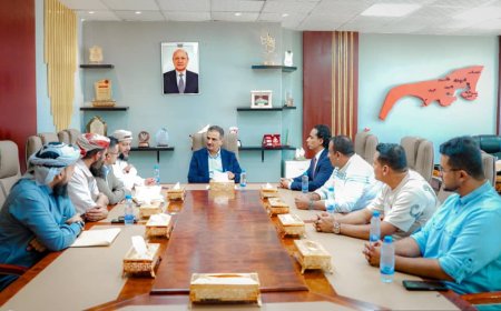 لملس يناقش مع مسؤولي الإحصاء وإدارة مخيمات النازحين آليات الحصر وتنظيم العمل مع المنظمات