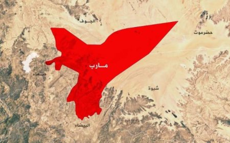 برعاية العميدان القامص ومعوضة.. تخج الدفعة الثانية من دورة الإسعافات الأولية والإخلاء الطبي في جبهتي ذنة واليعيريف