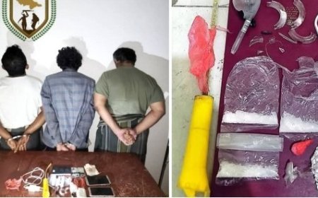 قوات دفاع شبوة تضبط كمية من مادة الشبو المخدر ..