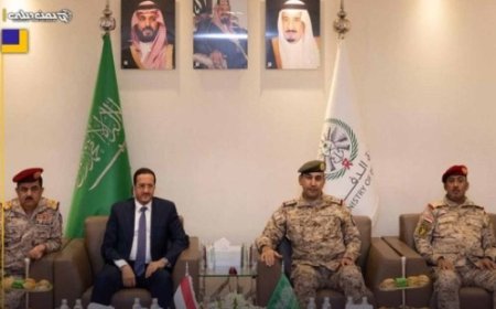 قائد القوات المشتركة يلتقي عضو الرئاسي مجلي ووزير الدفاع الداعري ورئيس هيئة الاركان  في الرياض..