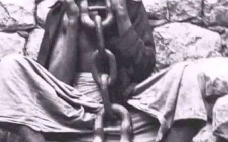 قيادي في المقاومة التهامية يطالب الشرعية بكشف مصير 700 أسير زرنوقي أسروا عام 1929م....