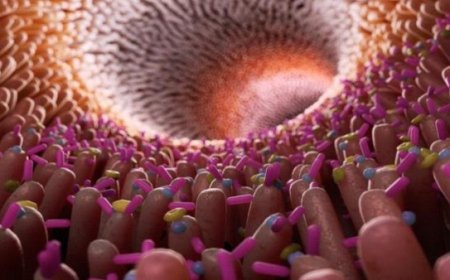 كائنات حية دقيقة اكتشفها العلماء تسكن في أفواه نصف سكان العالم وتحمل أسرارا مذهلة ..