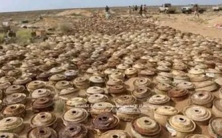 مكتب حقوق الإنسان بالدريهمي يوثق إصابة أربعة أطفال جراء انفجار لغم حوثي مموه..