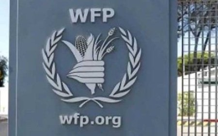 الغذاء العالمي للأمم المتحدة يعلن عن تعليق رحلاته الانسانية الى صنعاء...