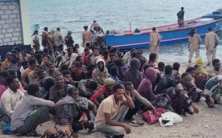 القوة البحرية للحملة الأمنية في الصبيحة تضبط قارب تهريب افارقة..