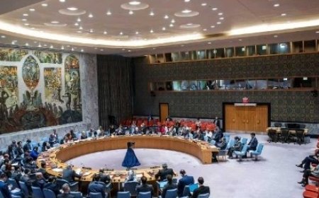 جلسة طارئة لمناقشة الاعتداءات الإسرائيلية على مستشفيات غزة يعقدها مجلس الأمن الدولي ..