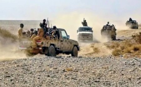 تعزيزات حوثية جديدة إلى جبهات القتال في محافظة مأرب...