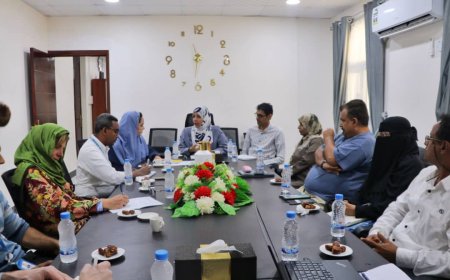 رئيس الجهاز المركزي للإحصاء تناقش سُبل التعاون المشترك مع مسؤولة أممية 