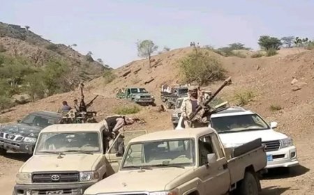 القوات المسلحة الجنوبية تحبط هجوم لمليشيا الحوثي الإرهابية بجبهة طور الباحة حيفان الحدودية..